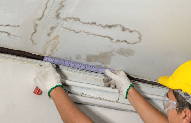 Reliable Water Removal contractor in Chesapeake, WV by Water Damage Irwin